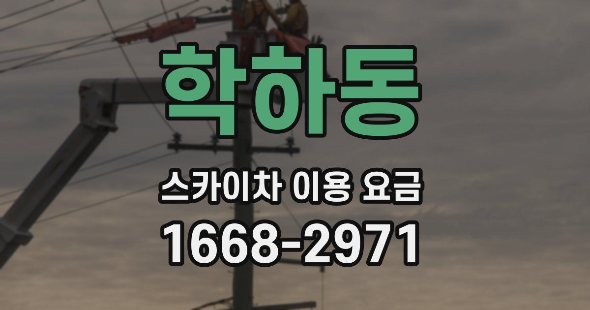 학하동 스카이차 이용 요금