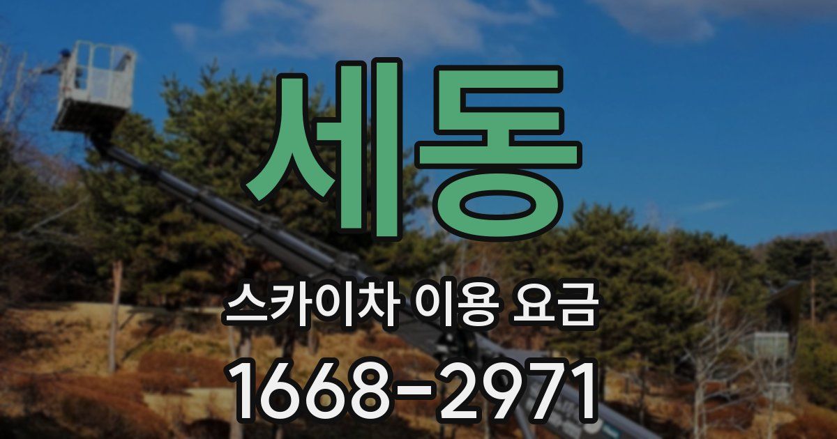 세동 스카이차 이용 요금