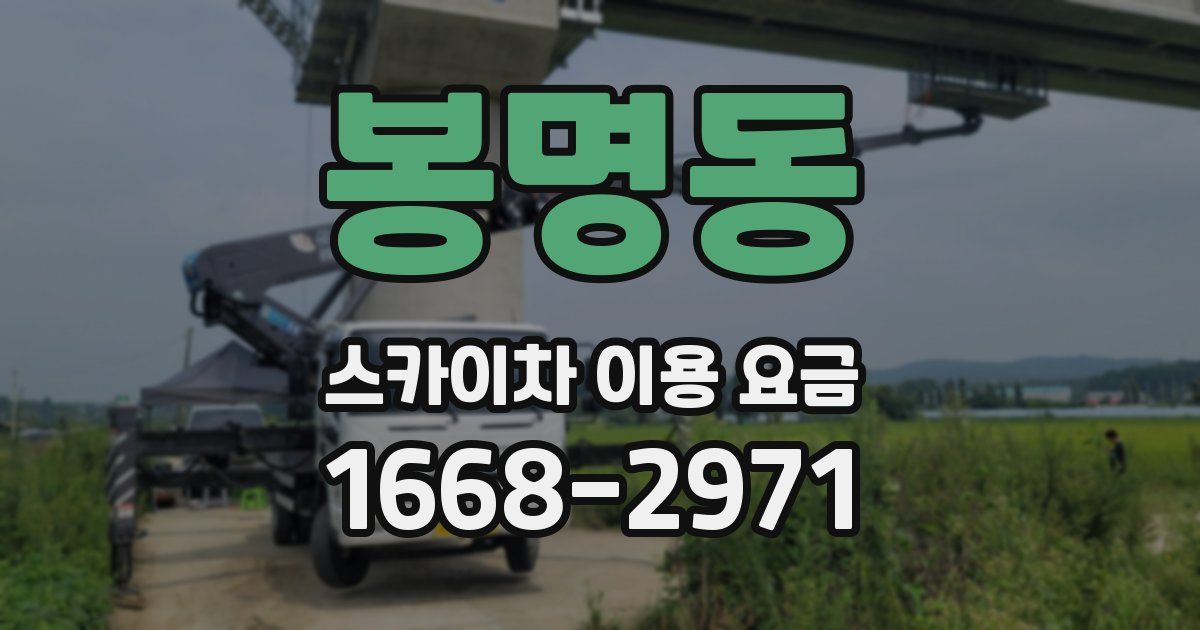 봉명동 스카이차 이용 요금