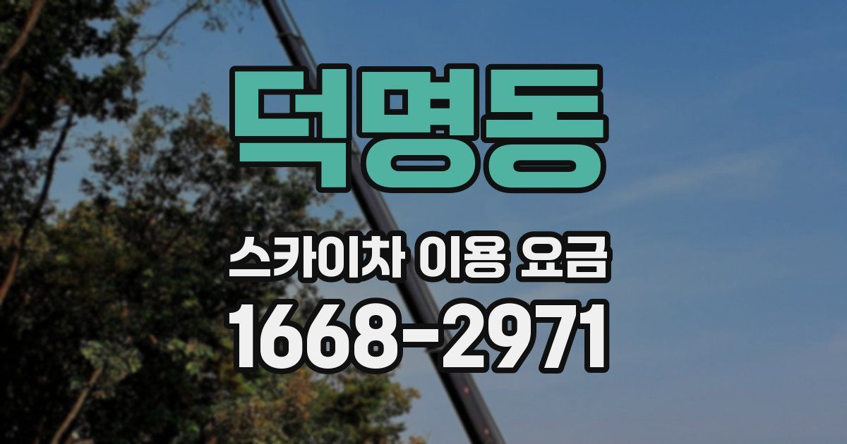 덕명동 스카이차 이용 요금