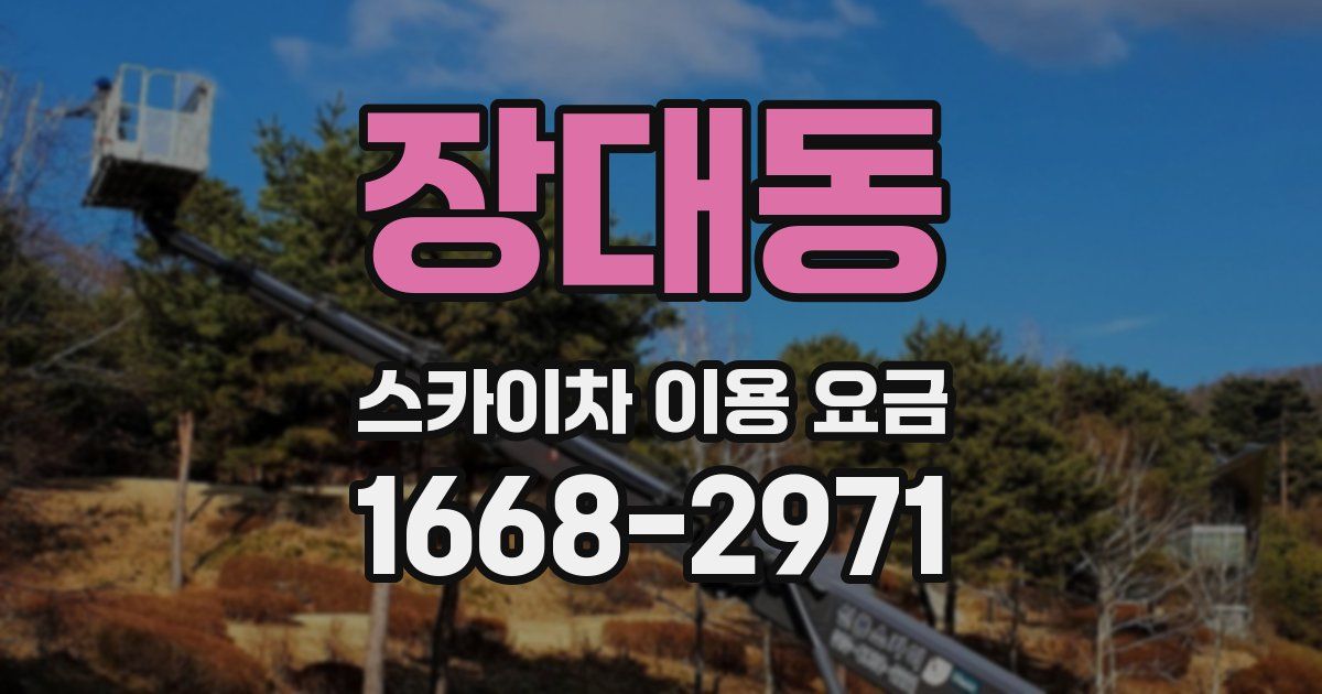 장대동 스카이차 이용 요금