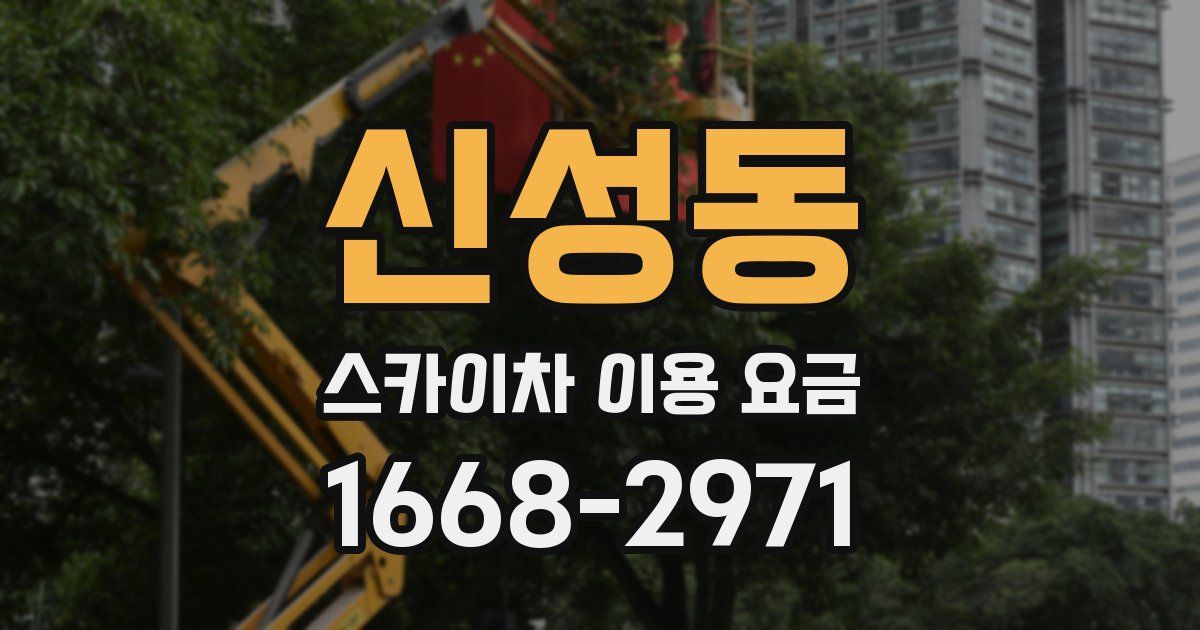 신성동 스카이차 이용 요금