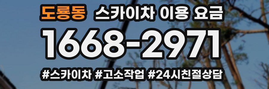도룡동 스카이차 이용 요금