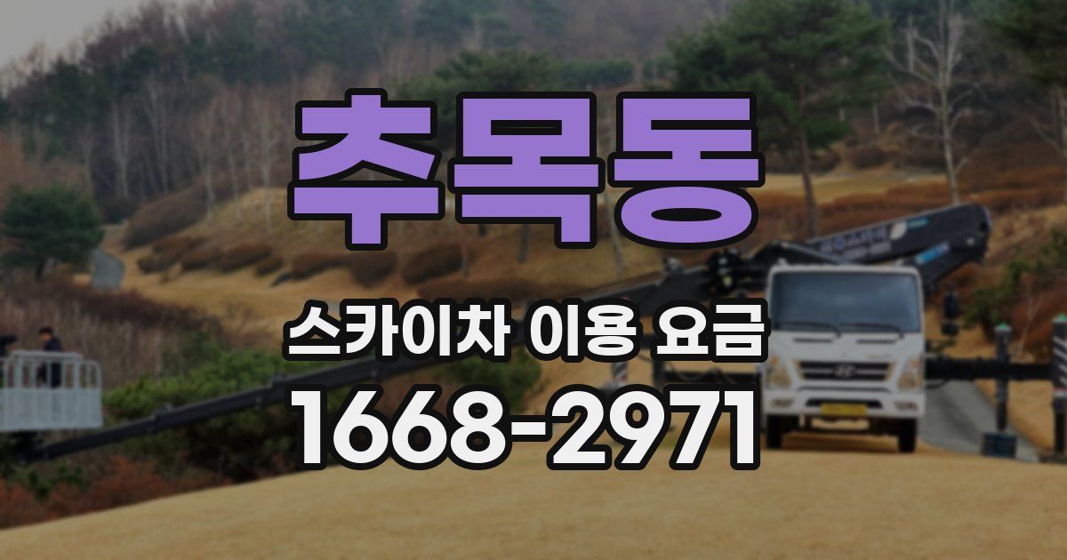 추목동 스카이차 이용 요금