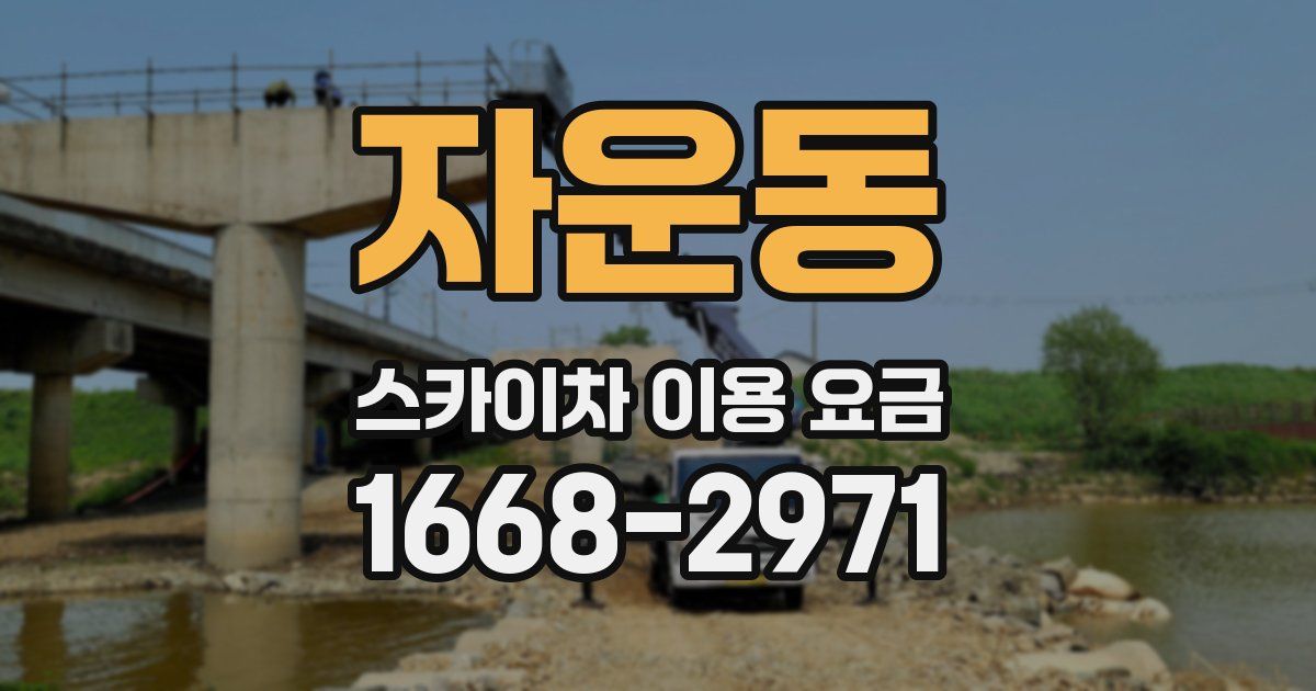 자운동 스카이차 이용 요금