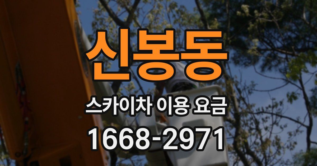 신봉동 스카이차 이용 요금