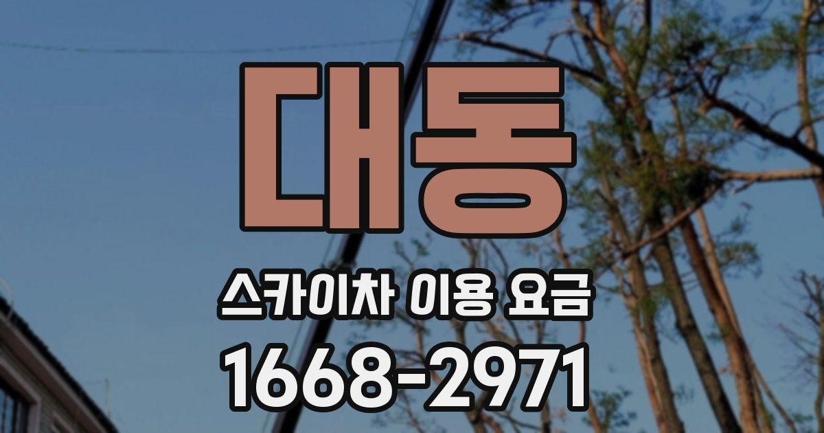 대동 스카이차 이용 요금