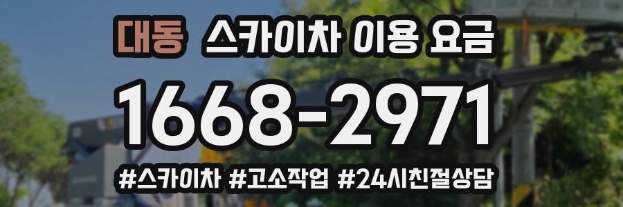 대동 스카이차 이용 요금