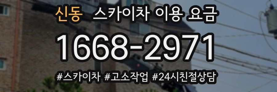 신동 스카이차 이용 요금