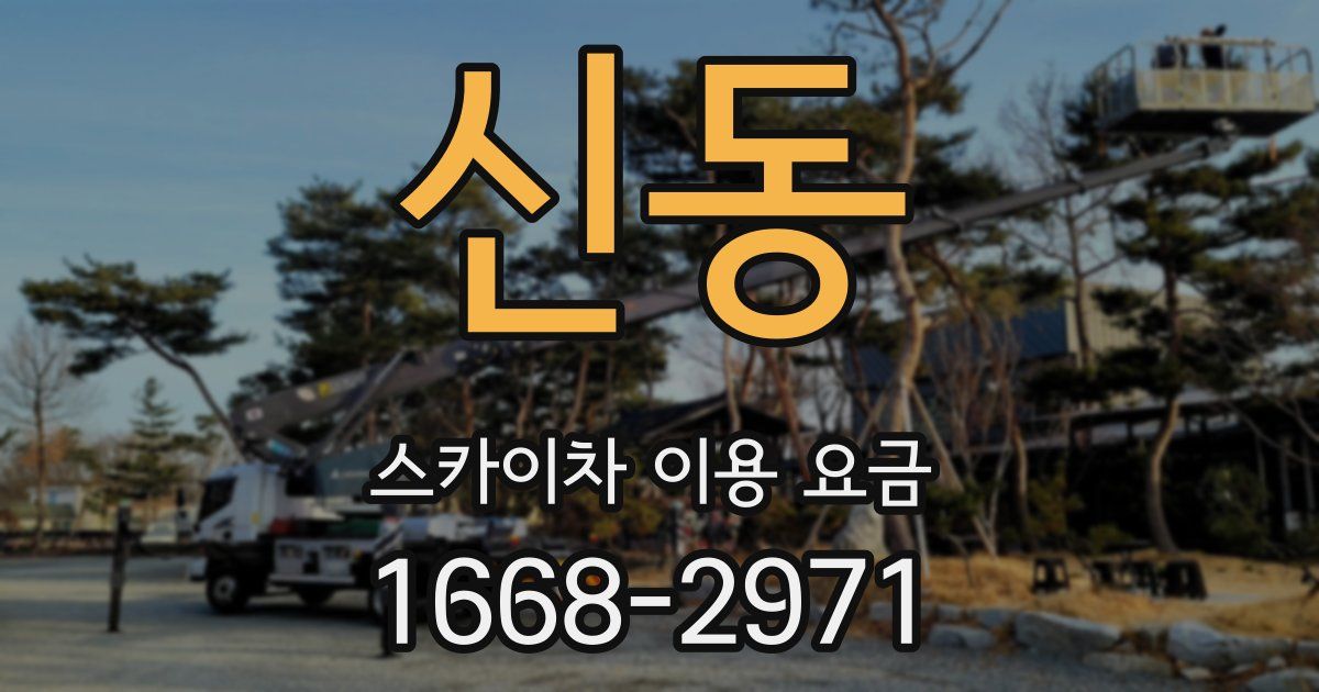 신동 스카이차 이용 요금