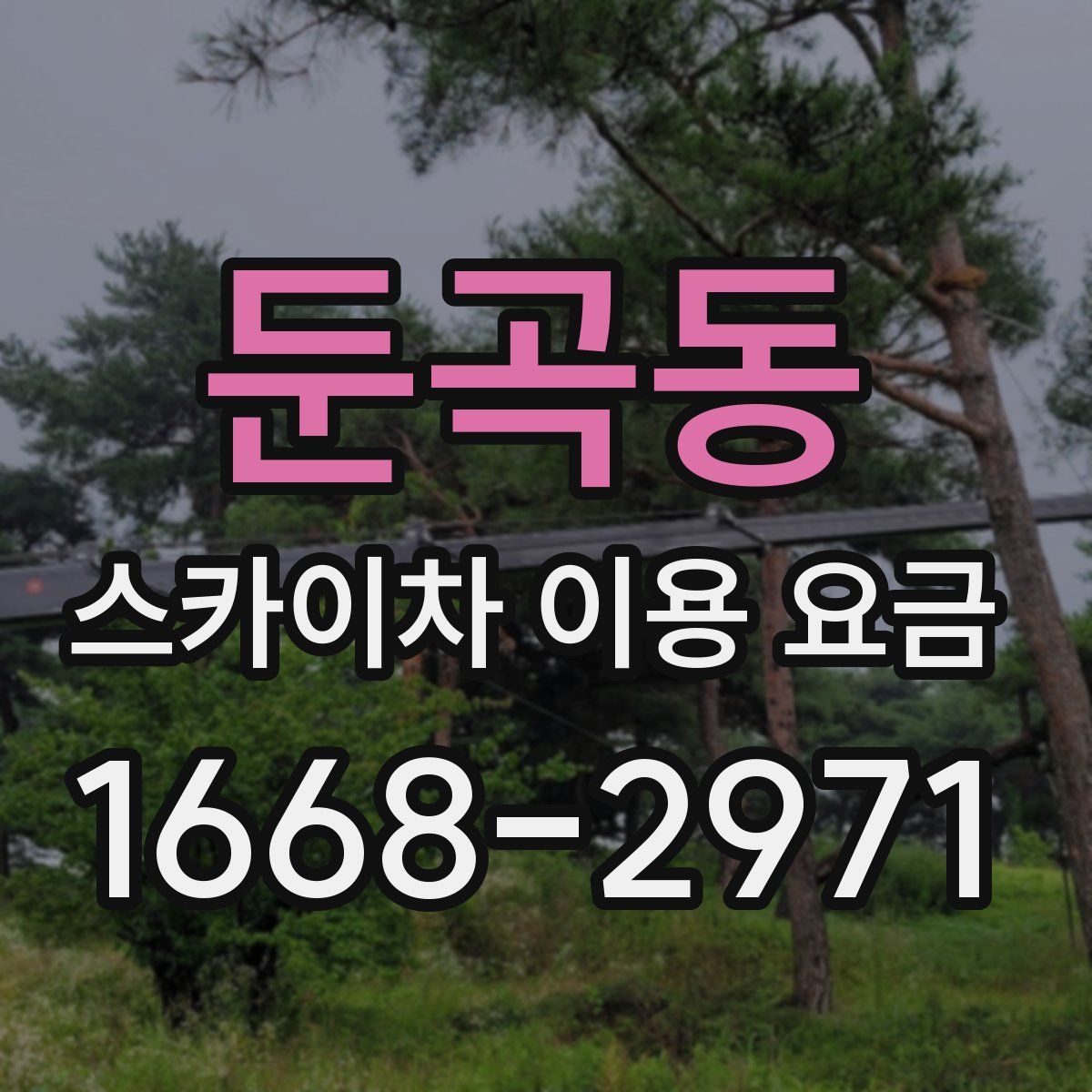 둔곡동 스카이차 이용 요금
