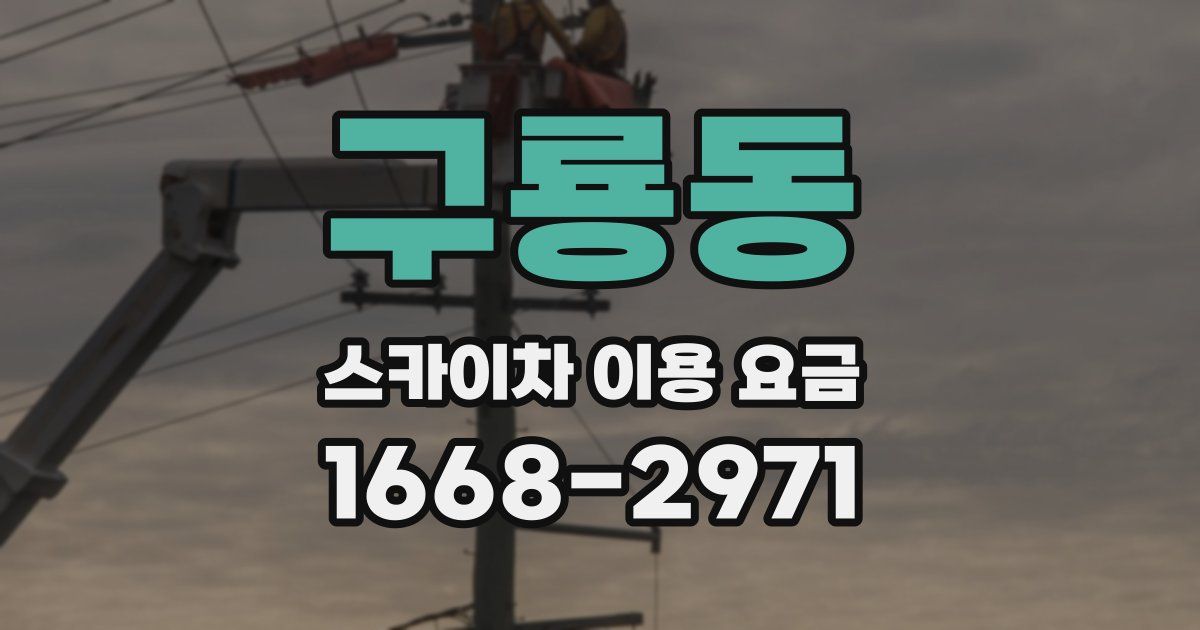 구룡동 스카이차 이용 요금