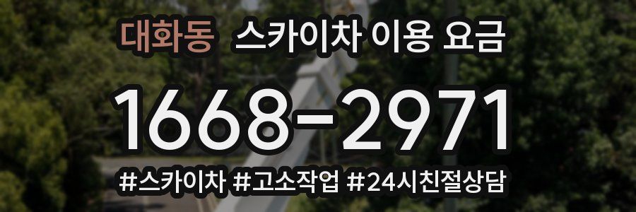 대화동 스카이차 이용 요금