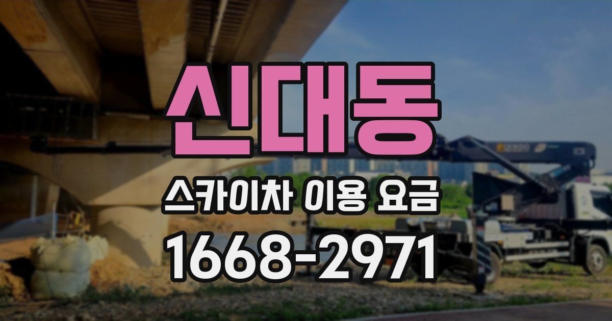 신대동 스카이차 이용 요금