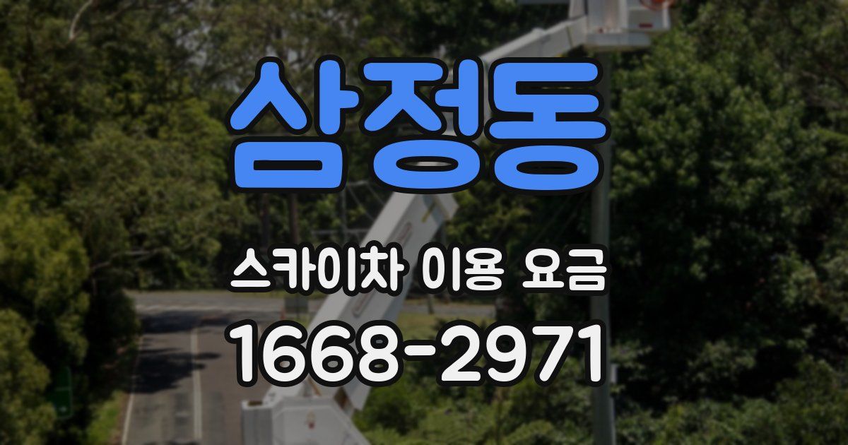 삼정동 스카이차 이용 요금