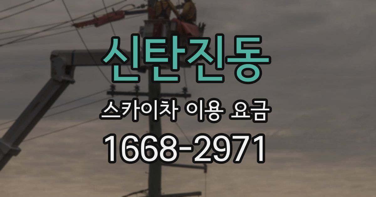 신탄진동 스카이차 이용 요금