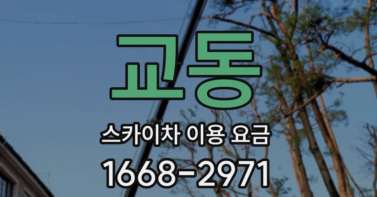 교동 스카이차 이용 요금
