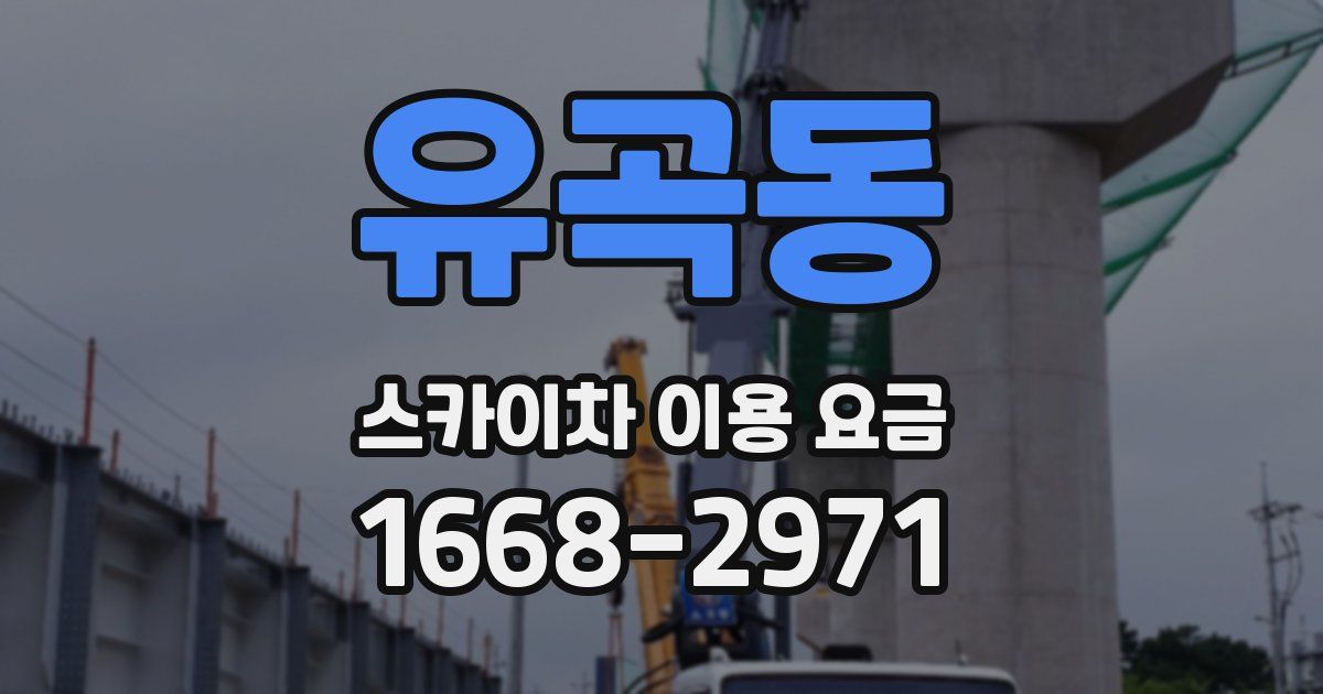 유곡동 스카이차 이용 요금