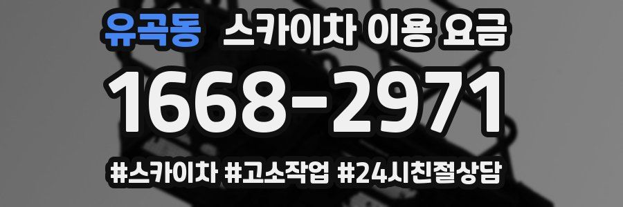 유곡동 스카이차 이용 요금