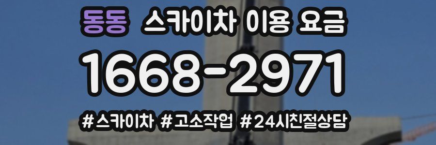 동동 스카이차 이용 요금