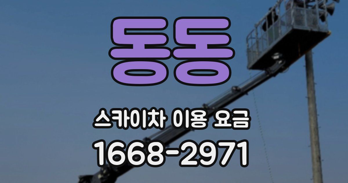 동동 스카이차 이용 요금