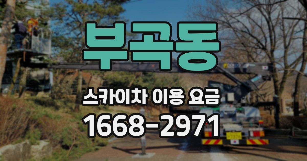 부곡동 스카이차 이용 요금