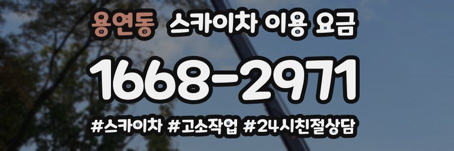 용연동 스카이차 이용 요금