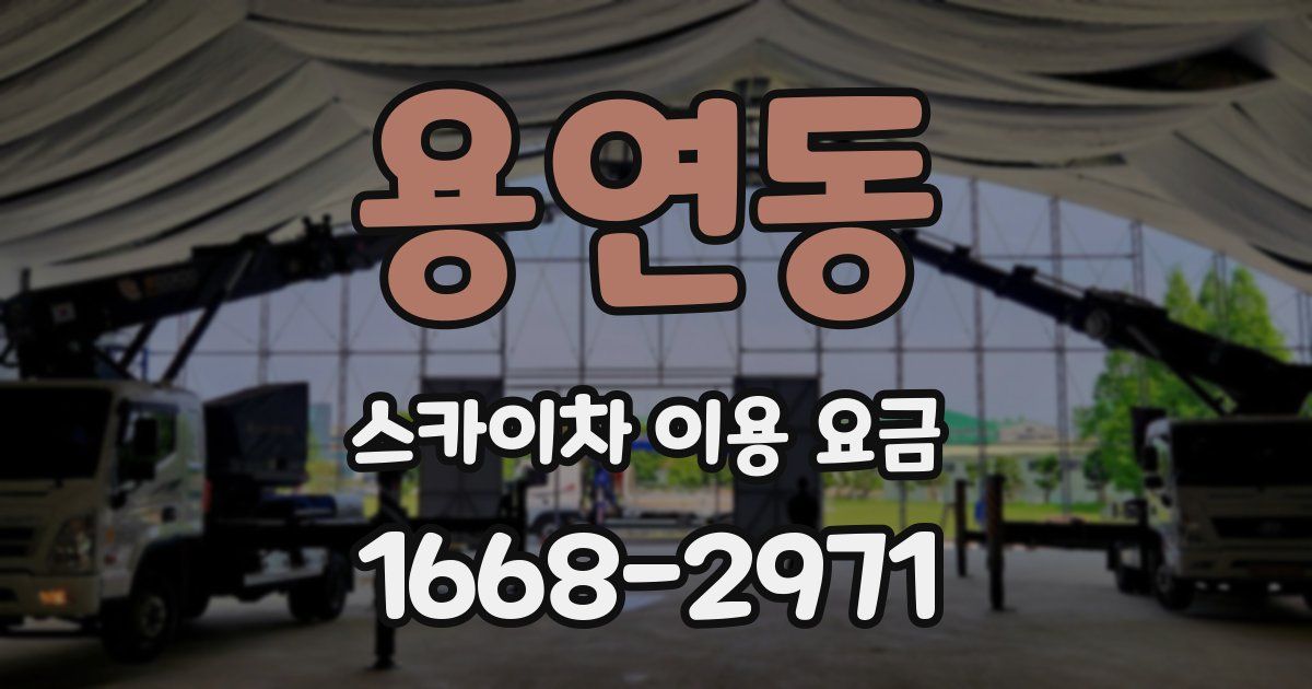 용연동 스카이차 이용 요금