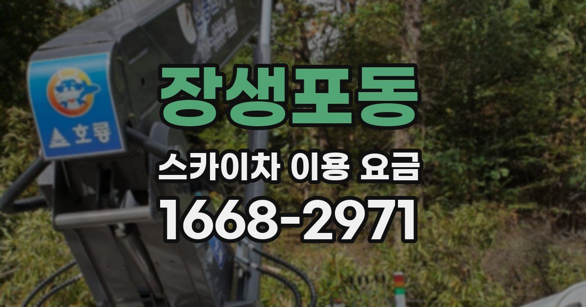 장생포동 스카이차 이용 요금