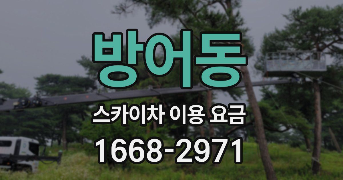 방어동 스카이차 이용 요금