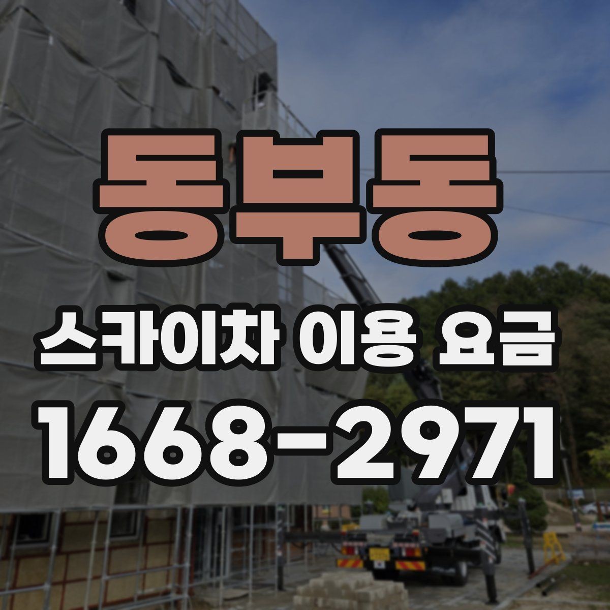 동부동 스카이차 이용 요금 확인 후 선택을 돕는 기준