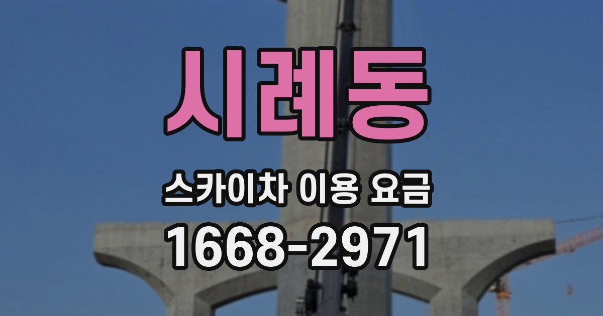 시례동 스카이차 이용 요금
