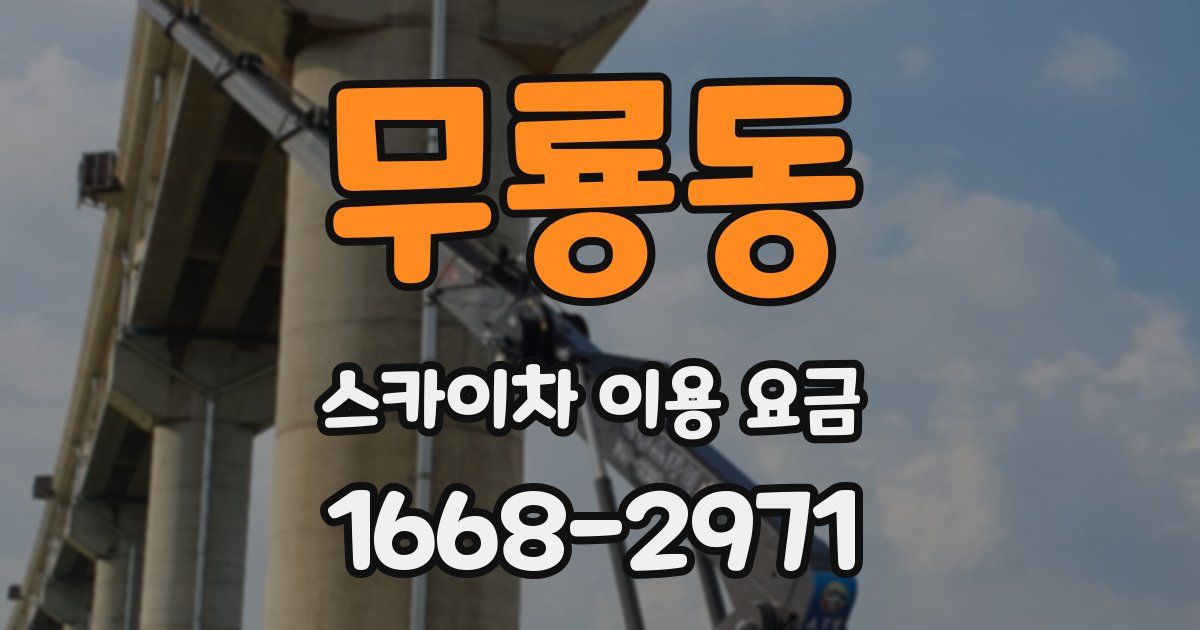 무룡동 스카이차 이용 요금