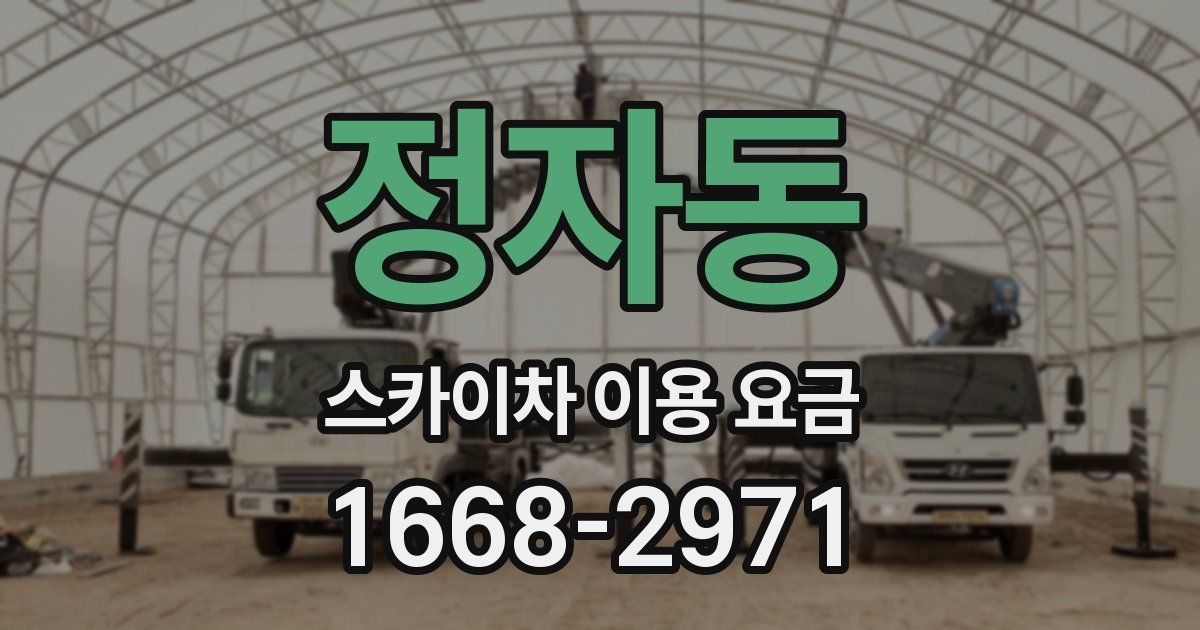 정자동 스카이차 이용 요금