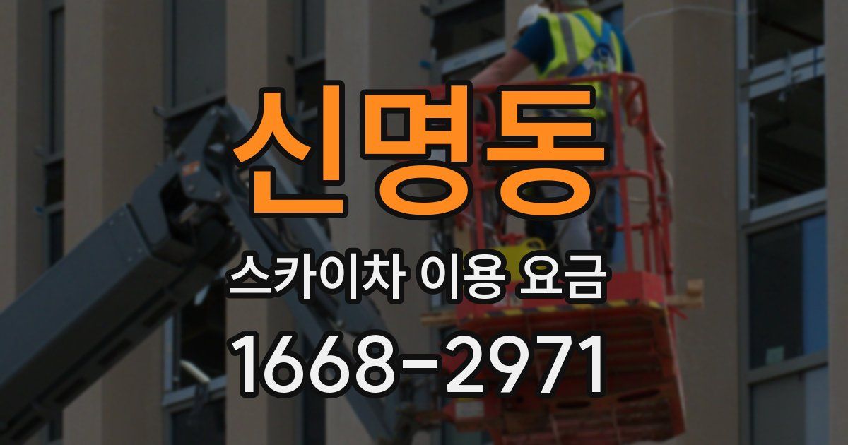 신명동 스카이차 이용 요금