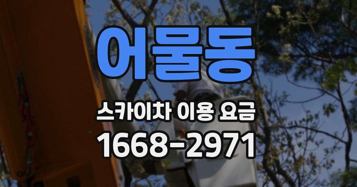 어물동 스카이차 이용 요금