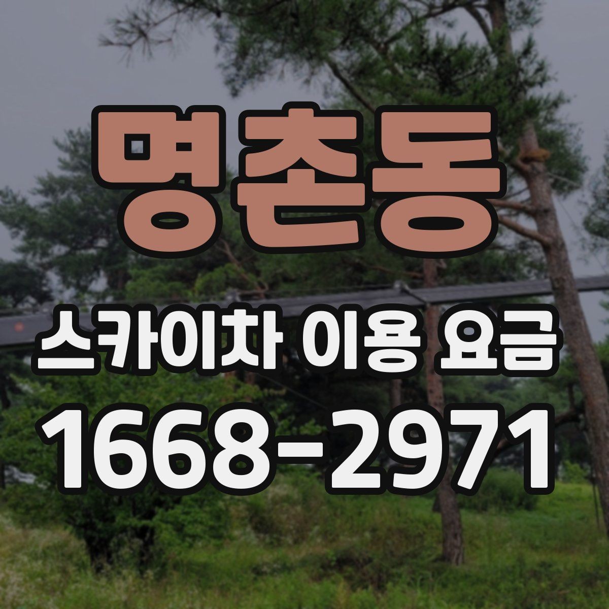 명촌동 스카이차 이용 요금 비교에서 주목할 조건