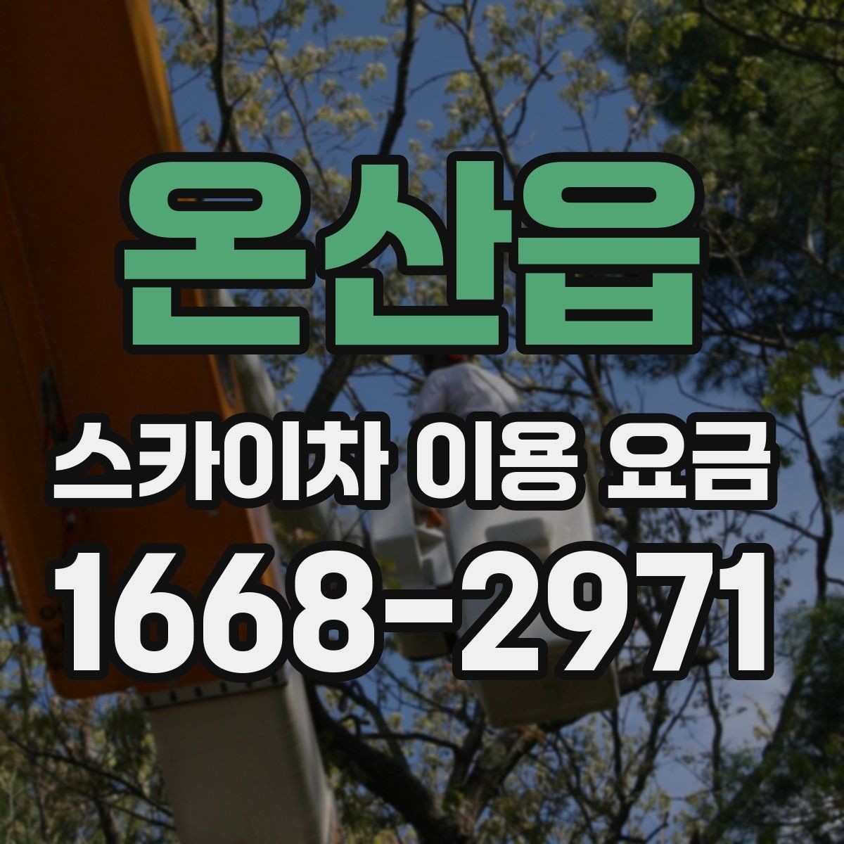온산읍 스카이차 이용 요금 문의 시 빠뜨리기 쉬운 정보