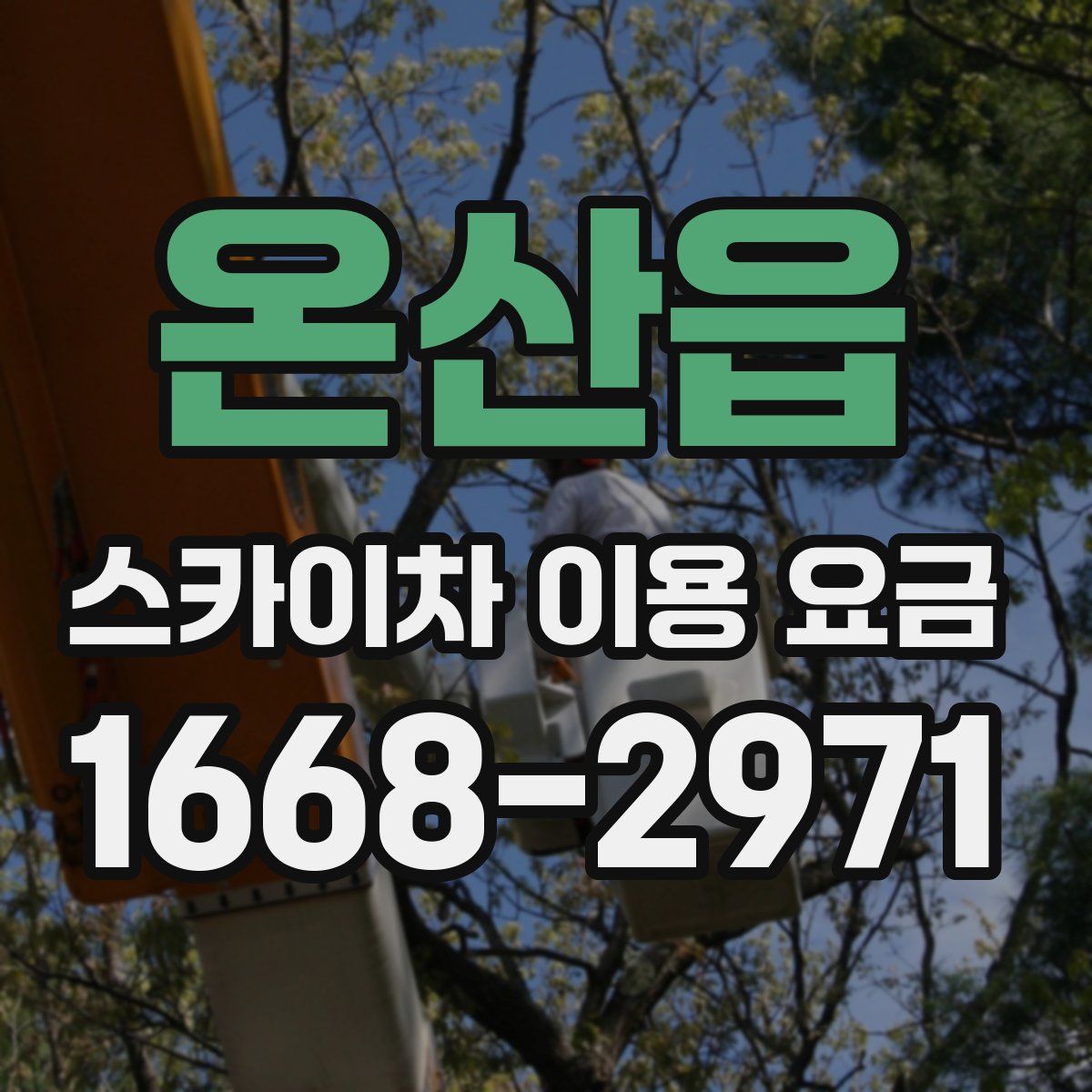 온산읍 스카이차 이용 요금