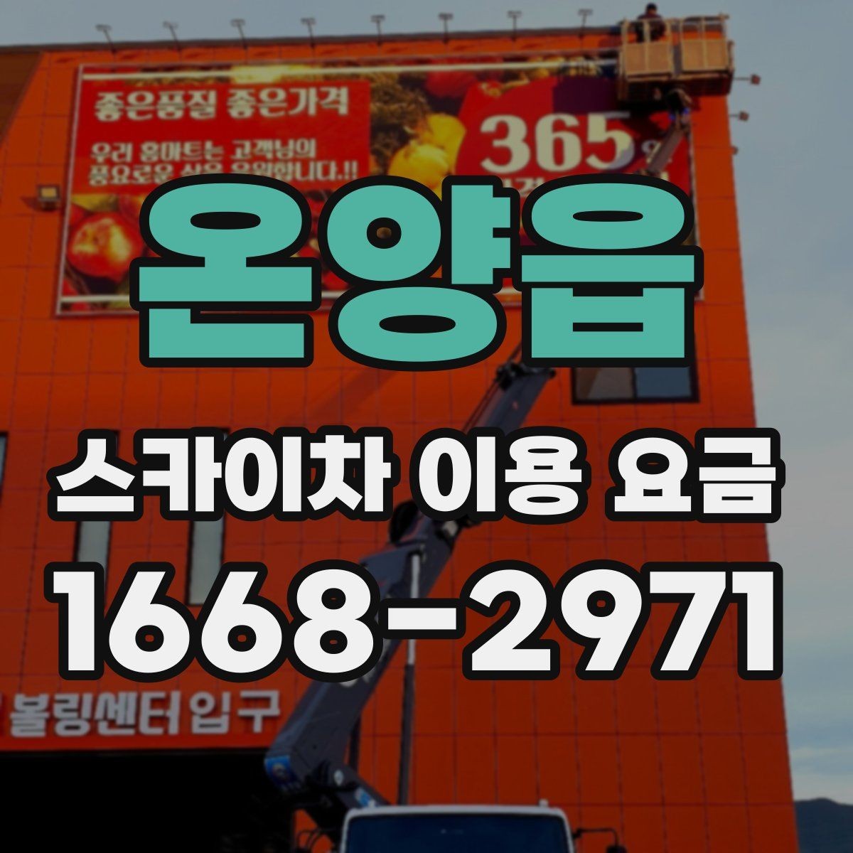 온양읍 스카이차 이용 요금 확인 전 알아둘 실용 정보