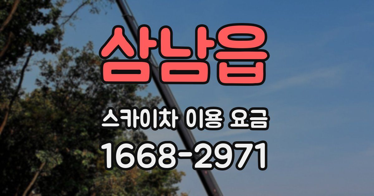 삼남읍 스카이차 이용 요금