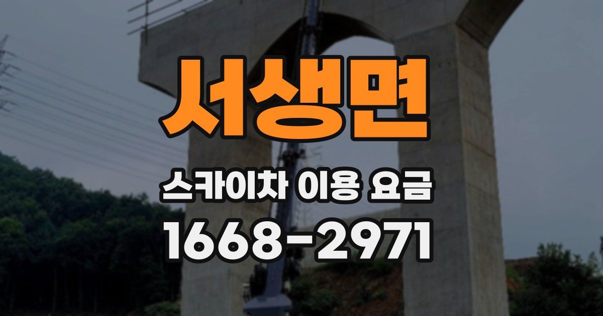 서생면 스카이차 이용 요금