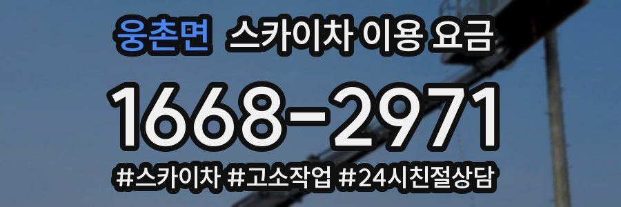 웅촌면 스카이차 이용 요금