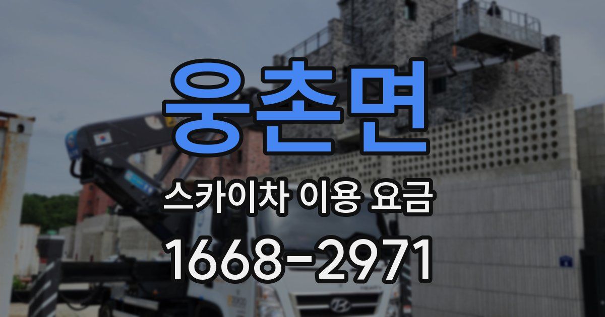 웅촌면 스카이차 이용 요금