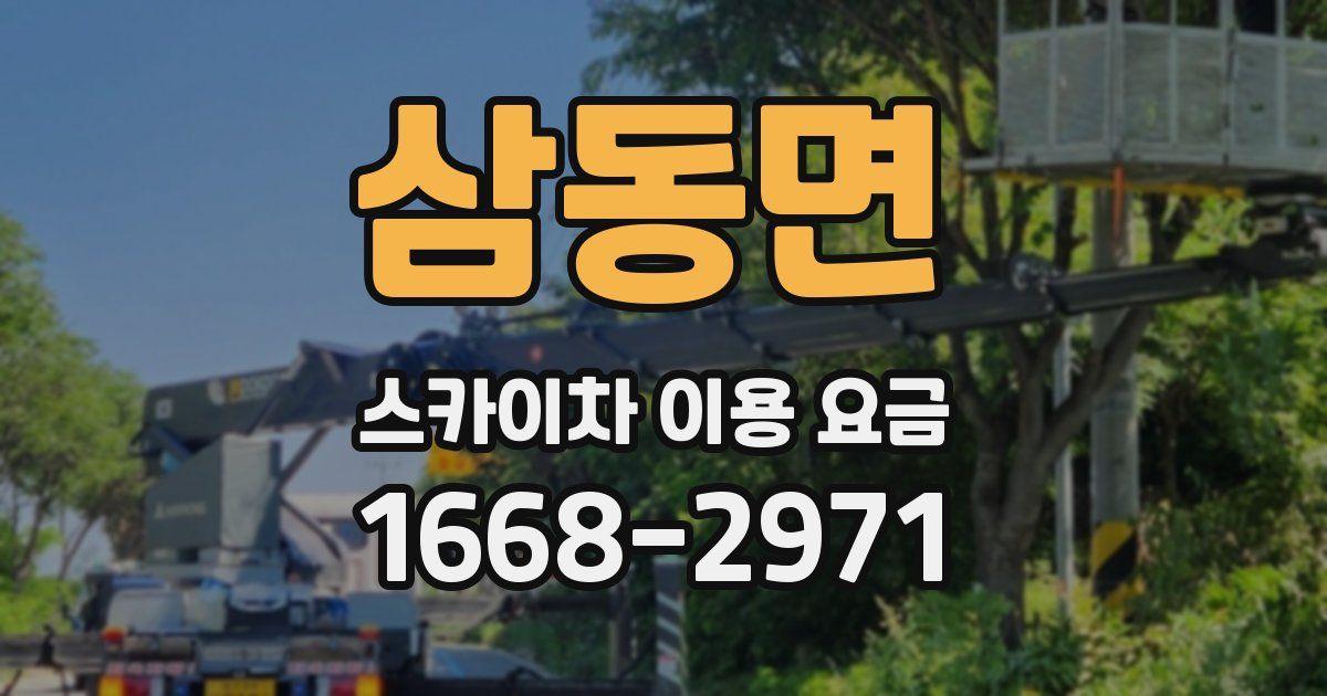 삼동면 스카이차 이용 요금