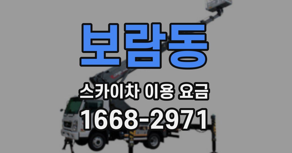 보람동 스카이차 이용 요금
