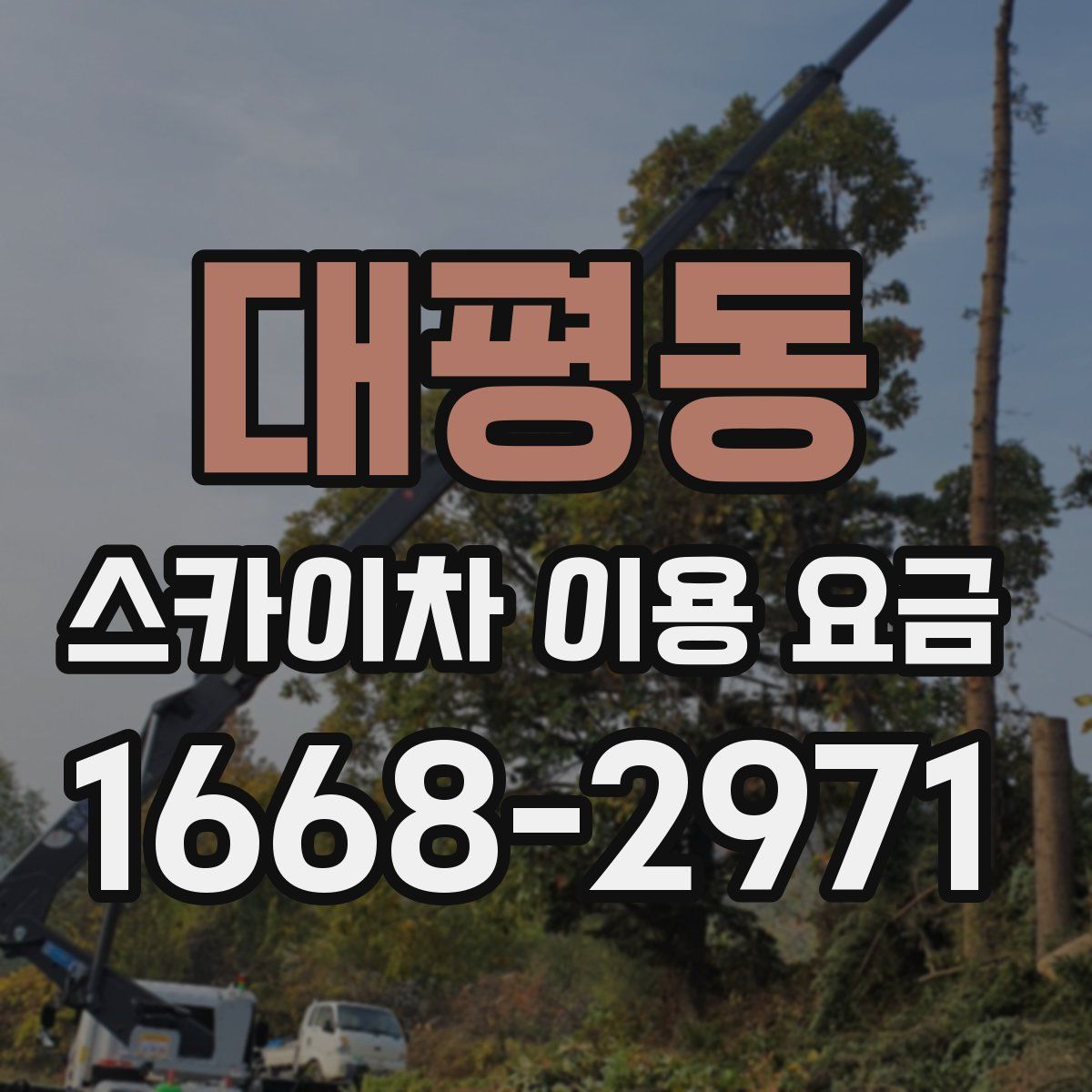 대평동 스카이차 이용 요금