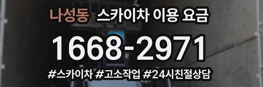 나성동 스카이차 이용 요금
