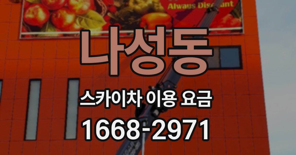 나성동 스카이차 이용 요금