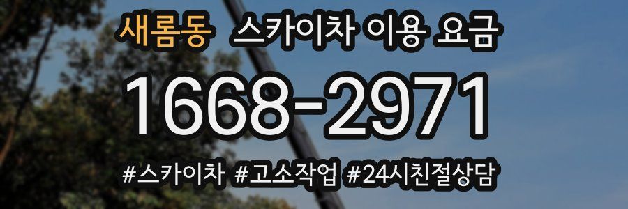 새롬동 스카이차 이용 요금